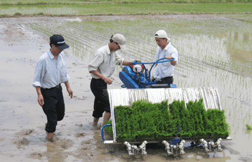 Máy cấy lúa Máy cấy lúa